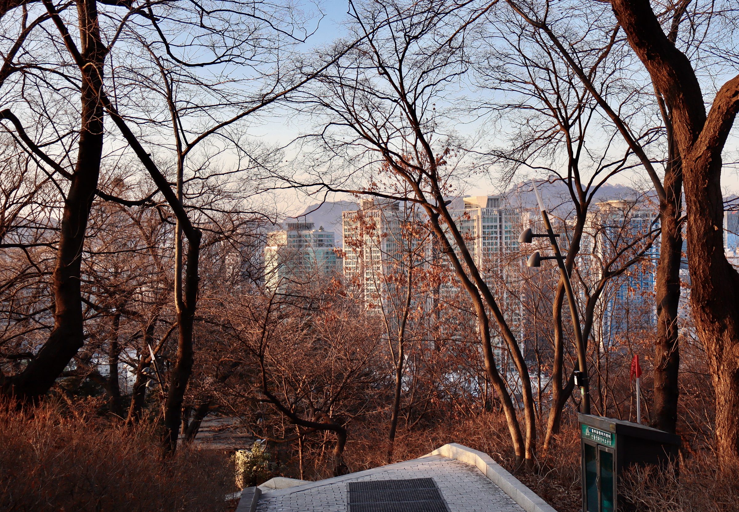 Namsan, winter light.